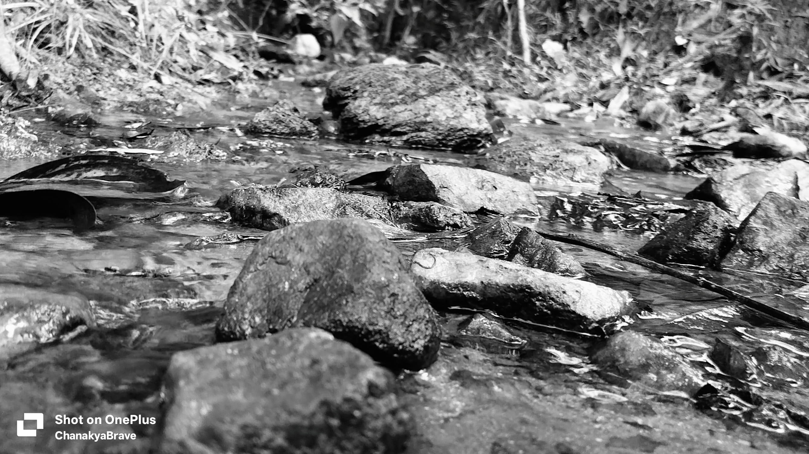 Shallow water flowing over stones in a rocky creek bed